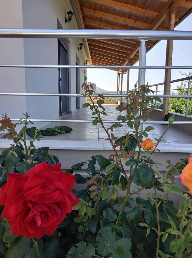 Holiday home View